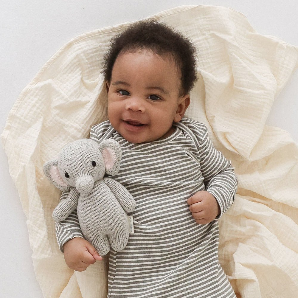 Baby elephant | Cuddle + Kind