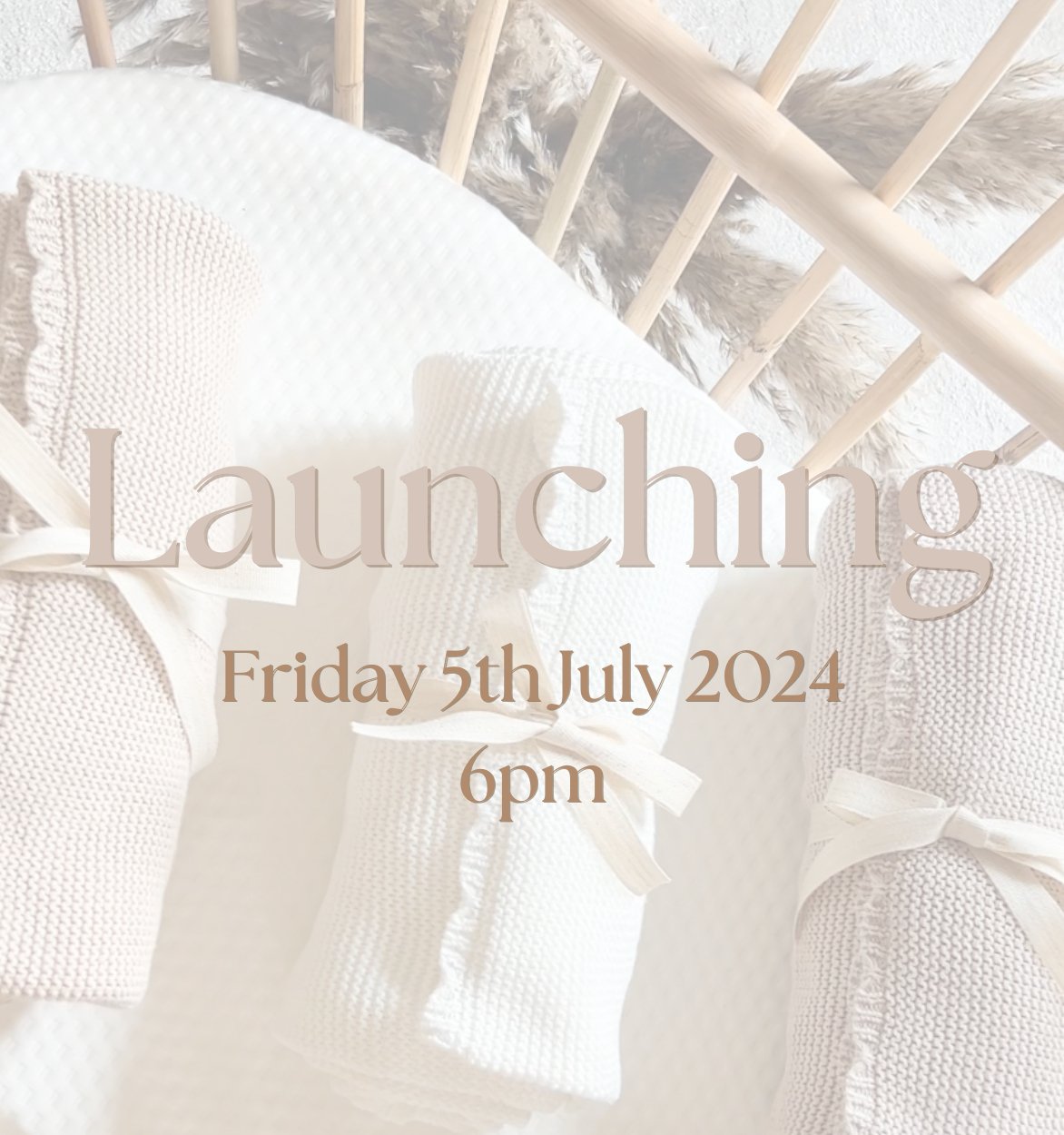 The Gray Bear Company Brand LAUNCH | July 2024