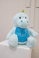 Blue Embroidered Dinosaur Teddy