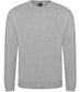RX301 Pro RTX Pro Sweatshirt